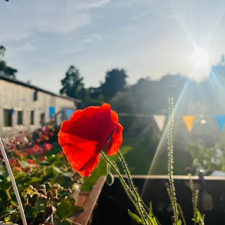 Luca's Loft Appartement