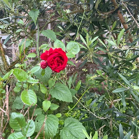 Appartement Luca's Loft *