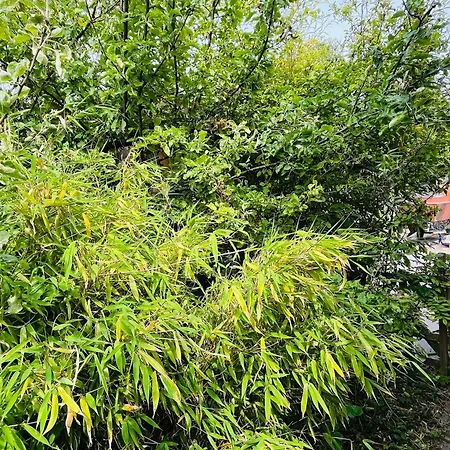 Luca's Loft Appartement Bergen