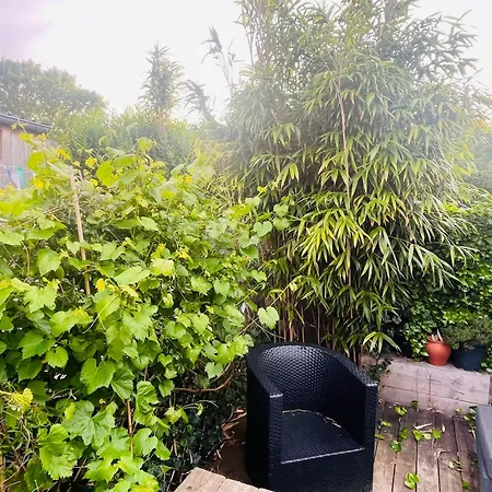 Luca's Loft * ברחן