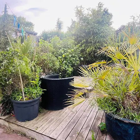 Appartement Luca's Loft *